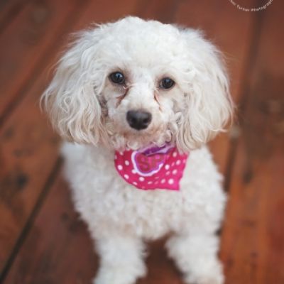 Daisy-Mae – Twyla's Friends